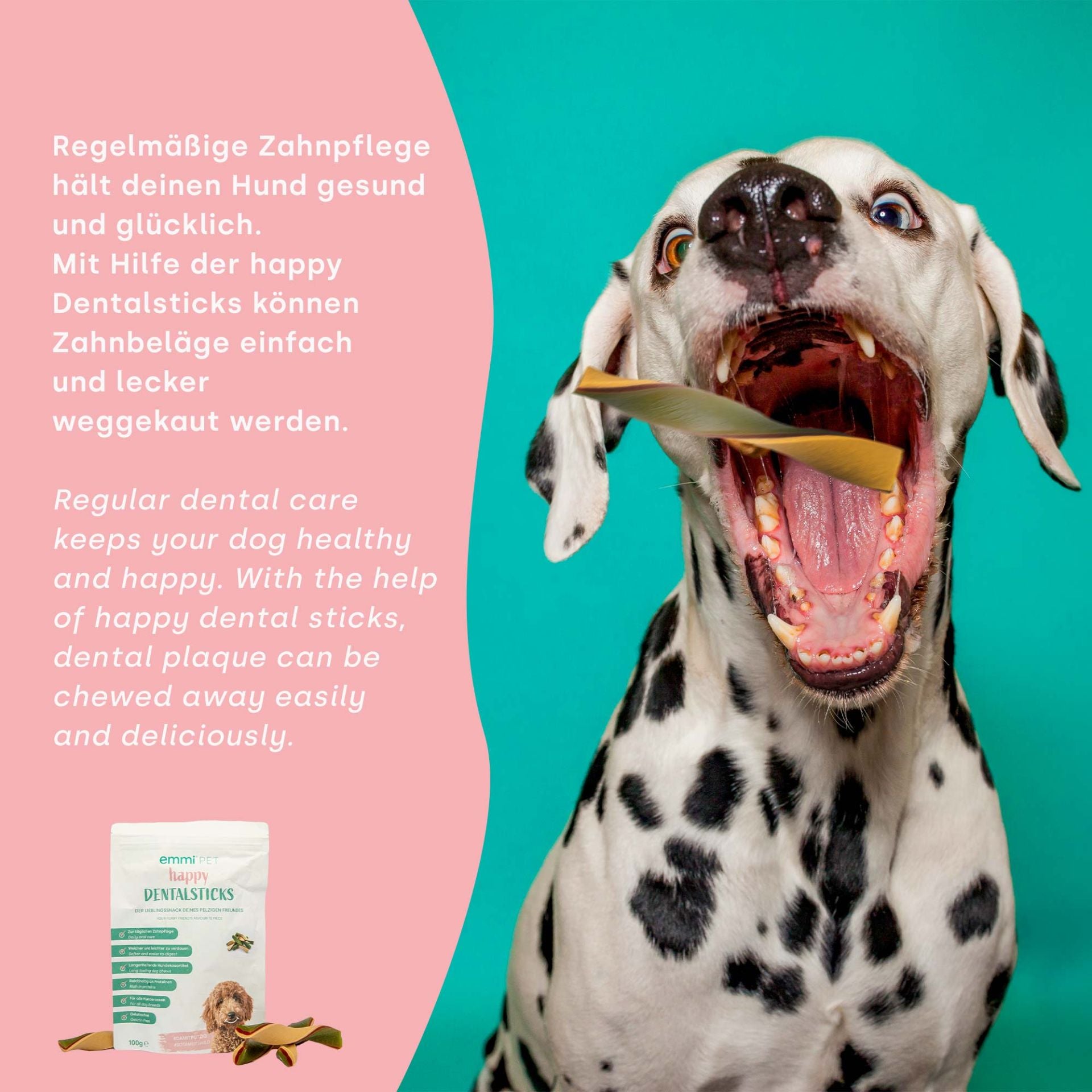 Bâtonnets dentaires « Haleine fraîche »