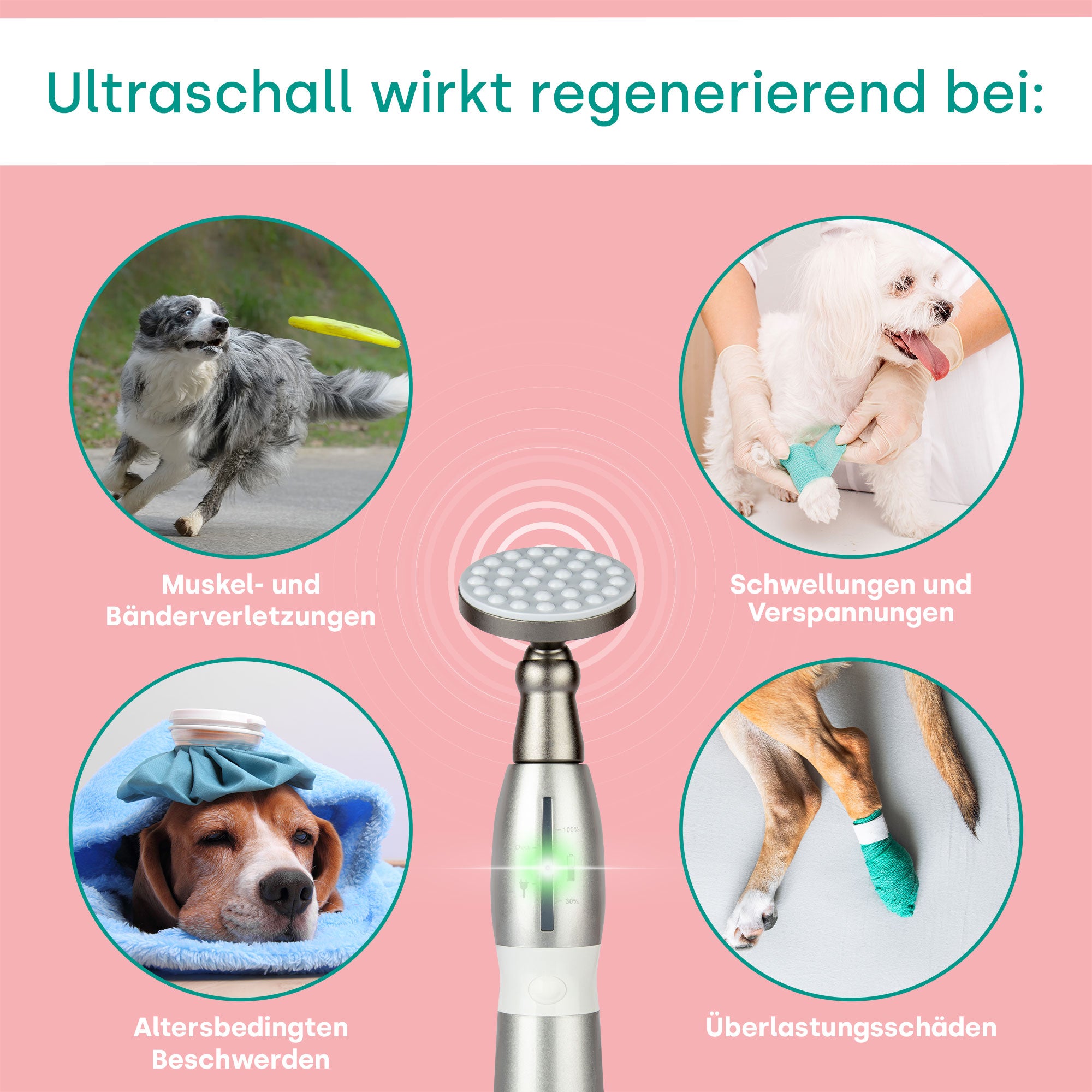Emmi-pet Physio Set PLUS (enchufe: UE)