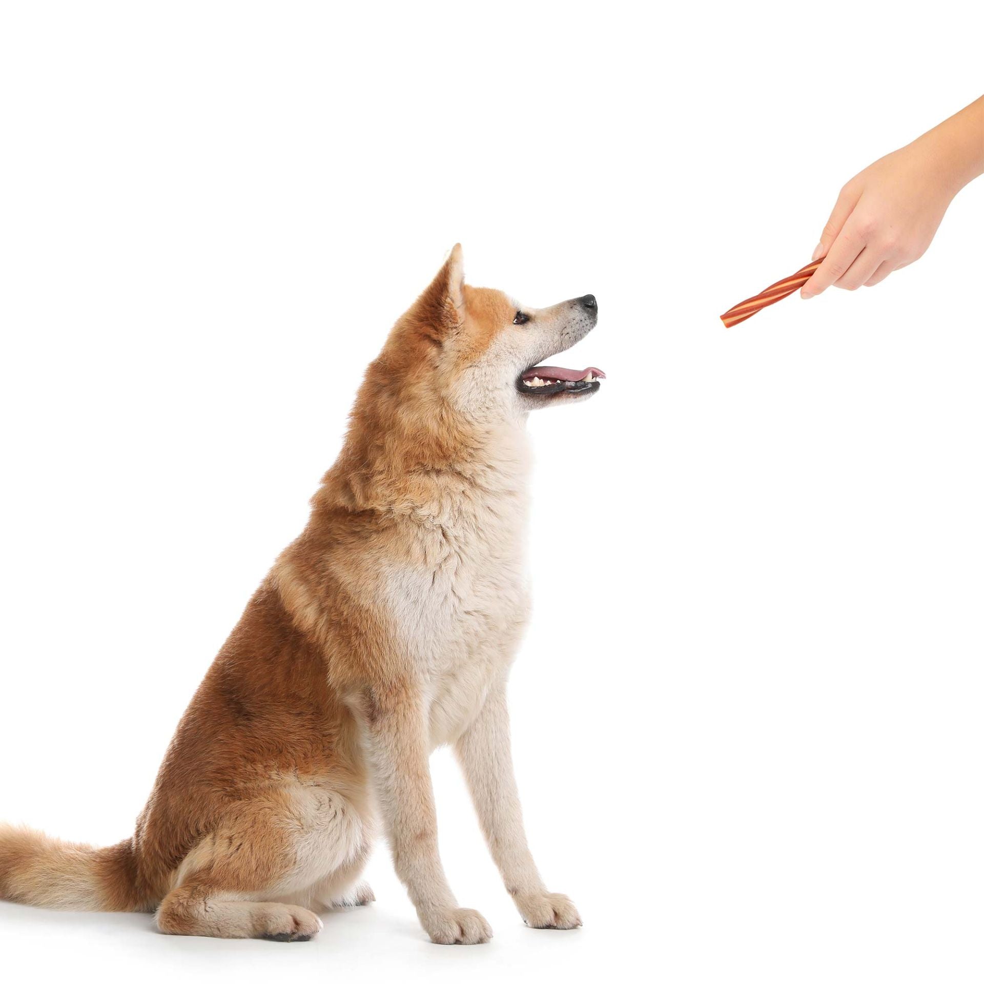 Bâtonnets dentaires « Polissoir à dents »