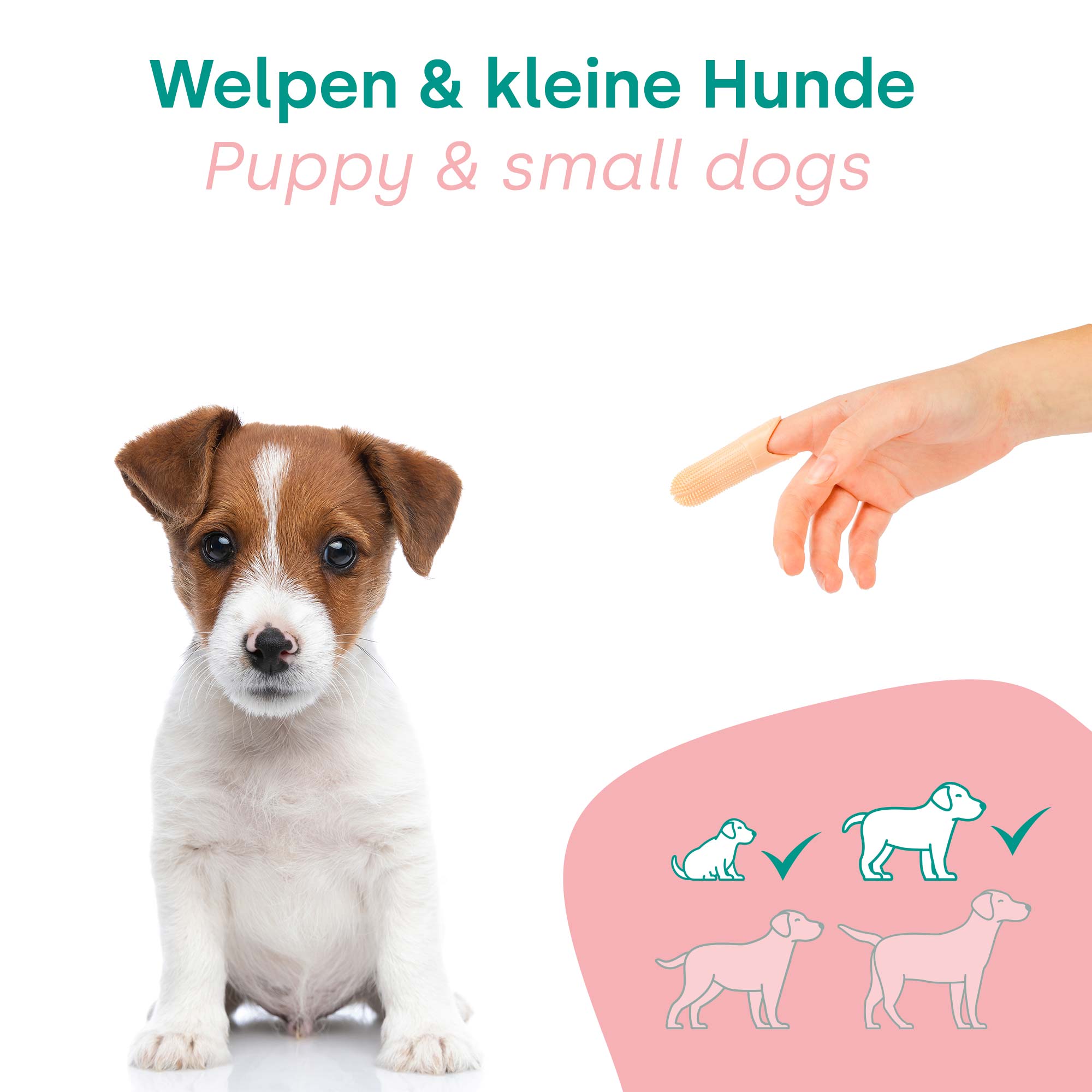 Kit para cachorros HappyDentalCare