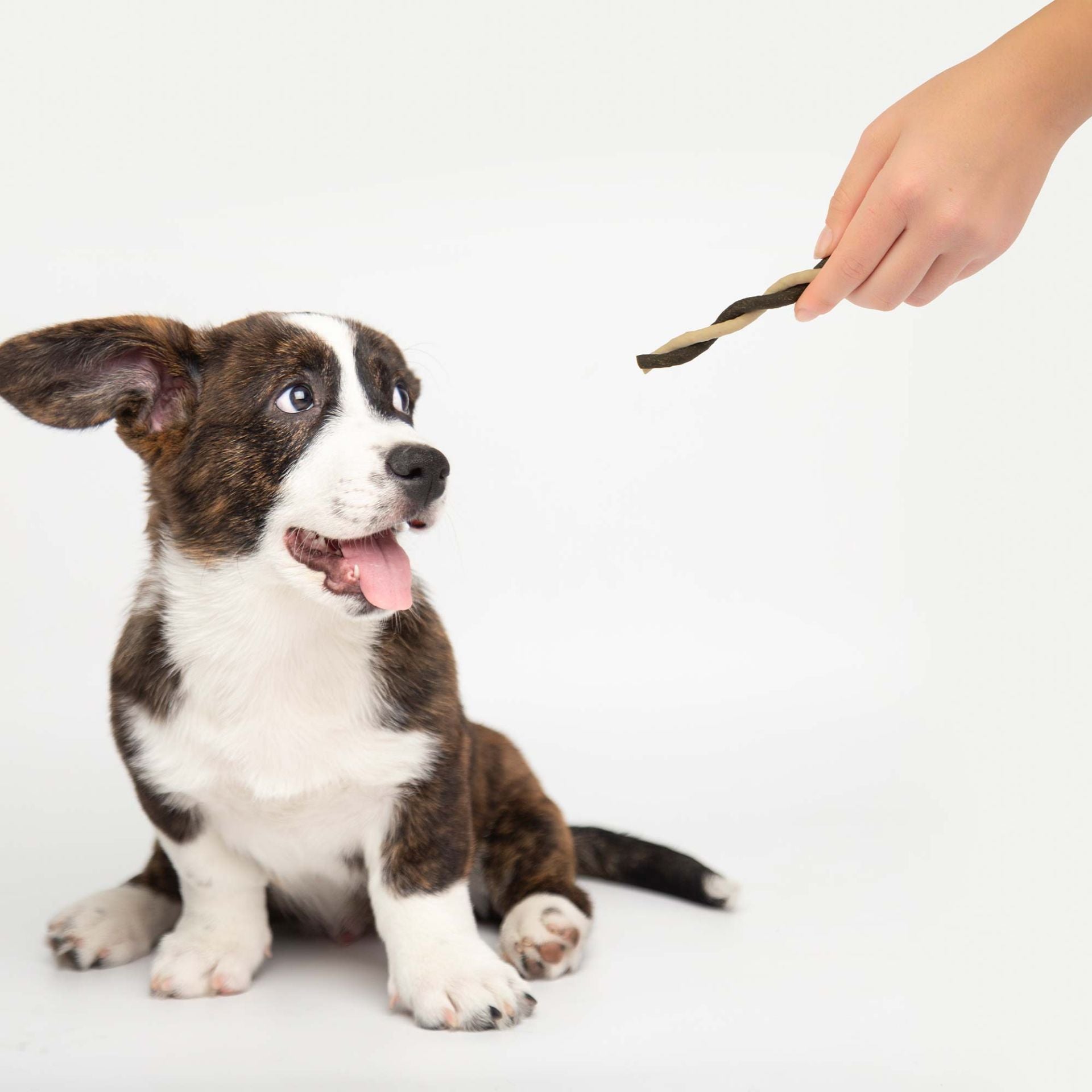 Dental Sticks "Gum Care" 