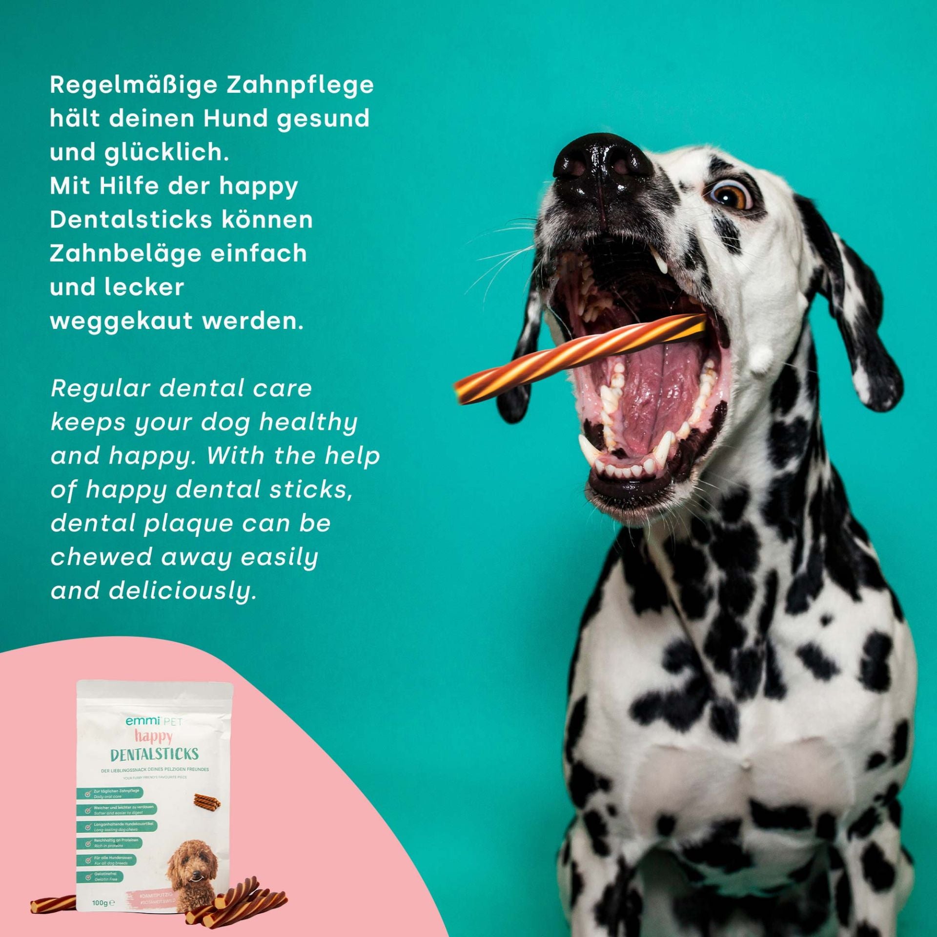 Bâtonnets dentaires « Polissoir à dents »